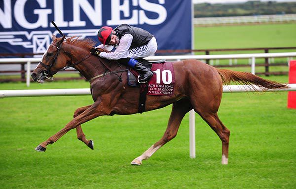 Search For A Song - back in search of another Comer Group International Irish St. Leger
