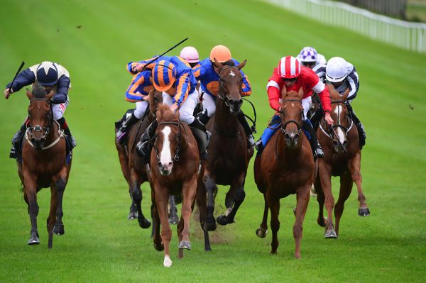 The white-faced Love winning at the Curragh as a juvenile