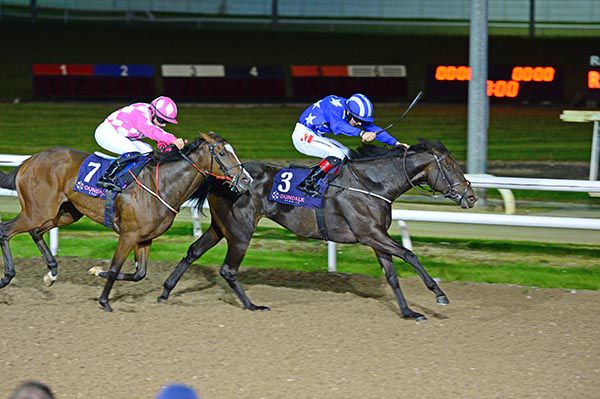 Cache Queen holds Magi Gal in the closing stages
