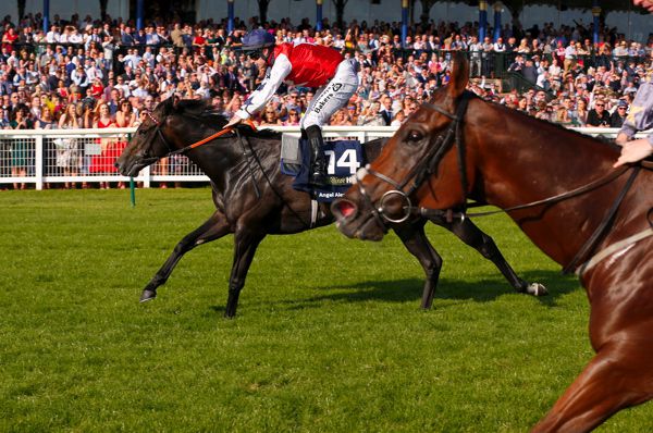 Angel Alexander and Richard Kingscote (far side) beat Growl (nearest camera) to land the Ayr Gold Cup