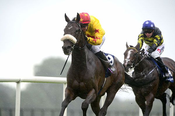 Myth Creation and Donnacha O'Brien leave Fujaira King and Leigh Roche in their wake