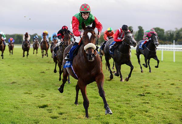 Bigger And Better wins under Paddy Harnett