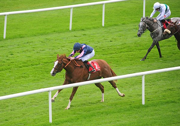 Four White Socks and Declan McDonogh 