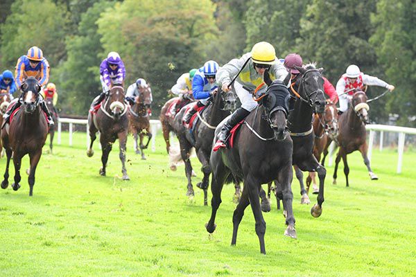 Istoria and Gary Carroll lead them home