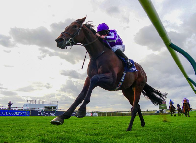 Wichita has been backed for the Qipco 2000 Guineas