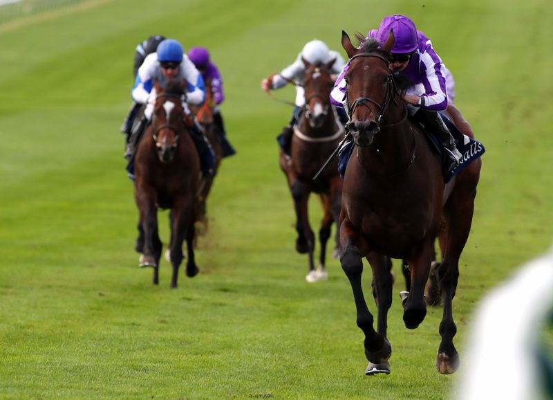 Wichita winning at Newmarket last year 