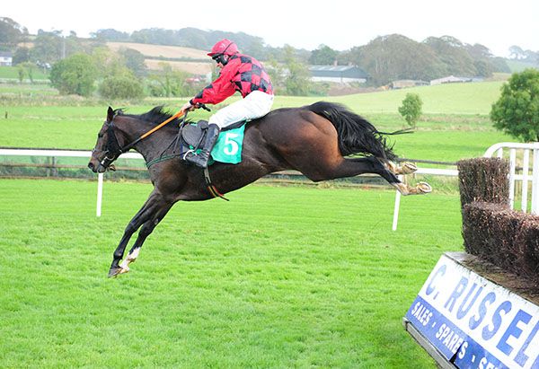 Mohart soars over the last in Downpatrick
