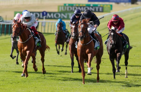 Millisle (centre) beating Raffle Prize (left) and Tropbeau (right) at Newmarket