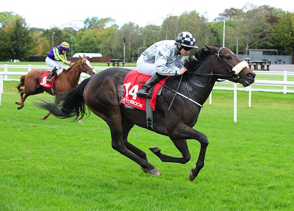 Romantic Proposal impressed under Wayne Lordan