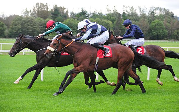 Up Helly Aa (Billy Lee, nearside) comes to beat Pincheck (Shane Foley) with Amedeo Modigliani short of room in behind