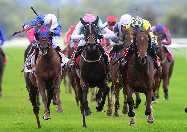 L to r Harriet Tubman (winner, Kevin Manning), Proxy (Oisin Orr, centre) and Angel Fish (Shane Crosse, right)
