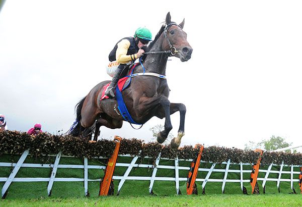 Western Victory has been supported in the market ahead of today's feature at Down Royal