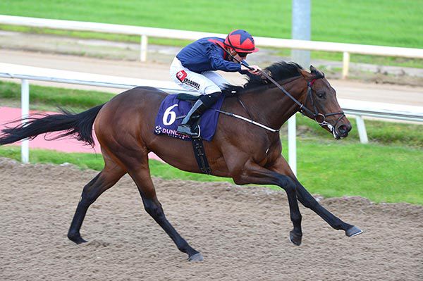 Now The King wins under Leigh Roche