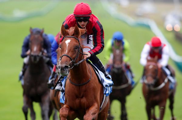 Max Vega winning the Zetland Stakes at Newmarket last October