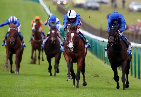 Military March looks set to return to the racecourse next month after long absence. 