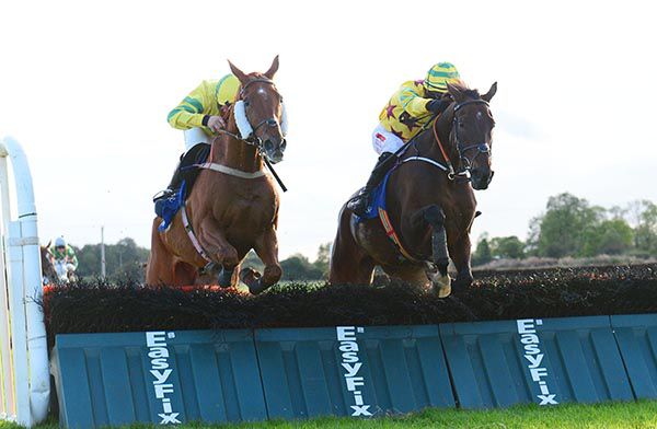 Select Opportunity (right) gets the better of Lagenod