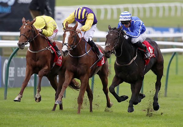 Stratum (left) beats Party Playboy (centre) in the Emirates Cesarewitch