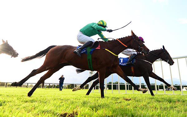 Henry Brown and Mark O'Hare (near side) beat Eurotiep