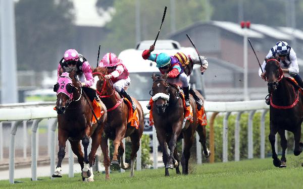 Singapore Sling (blue cap) twice finished second to Beauty Generation last term.