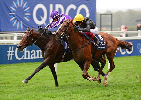 Kew Gardens seen here beating Stradivarius