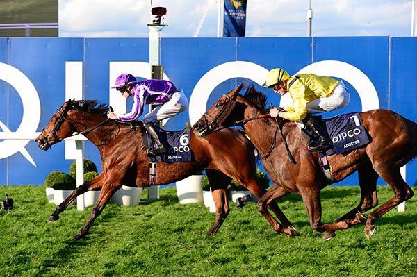 ASCOT 19-10-19. The Qipco Champion Stakes (Group 1)MAGICAL and Donnacha O'Brien beats ADDEYBB for trainer Aidan O'Brien.Photo Healy Racing.