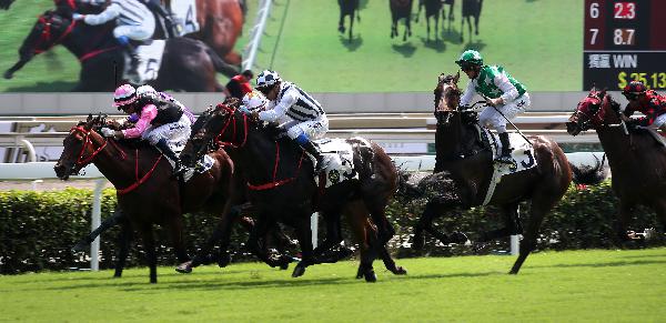 Seasons Bloom (No. 5) swoops to victory.