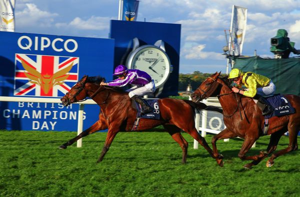Magical winning the Champion Stakes at Ascot last year