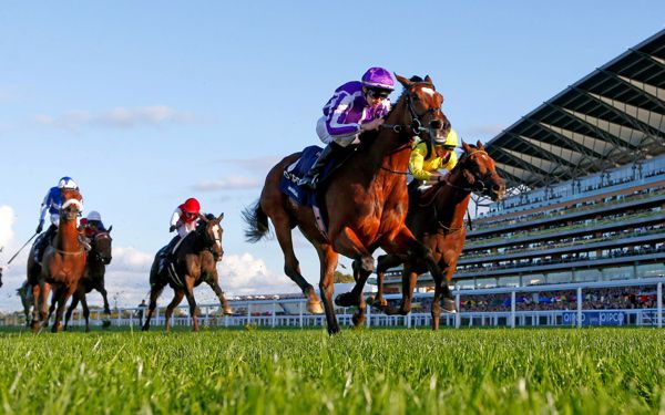Magical winning at Ascot