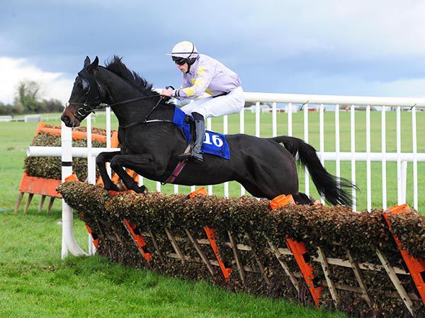 Arizengo and Paddy O'Hanlon