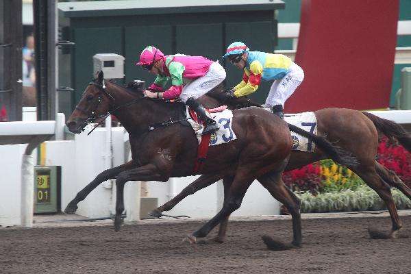 Elusive State is one of Hong Kong's most talented dirt track runners.