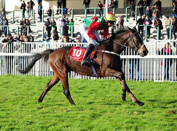 Duhallow Paddy and William Cronin approach the winning post