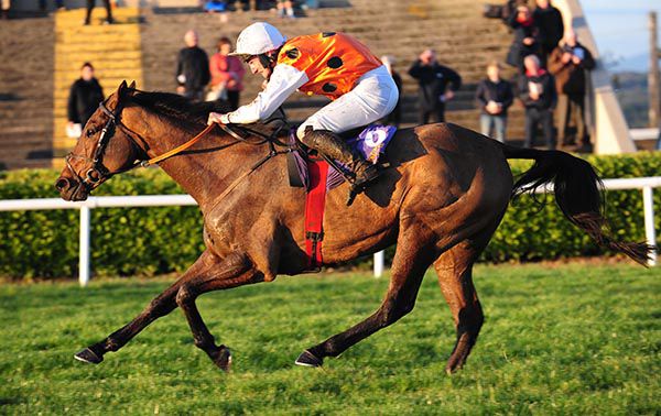 Ten Allin brings up plenty of bets