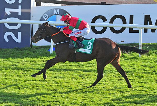 Yafordadoe can gain another Galway success 
