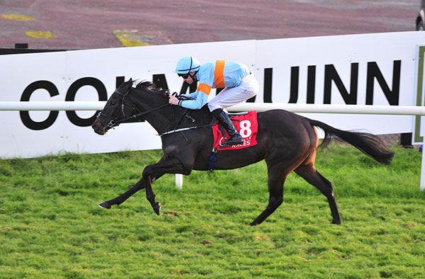 Grace To Grace and Donnacha O'Brien