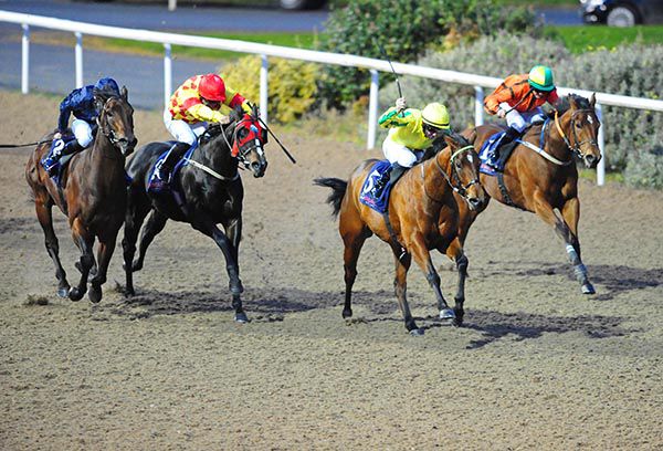 Yale (navy) winds up to challenge under Donnacha O'Brien