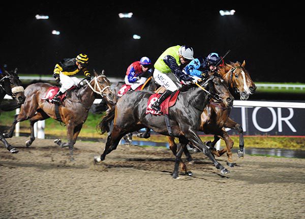 Guiding is ridden out by Gary Halpin