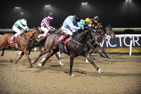 Sweet Dime is ridden out by Tom Madden