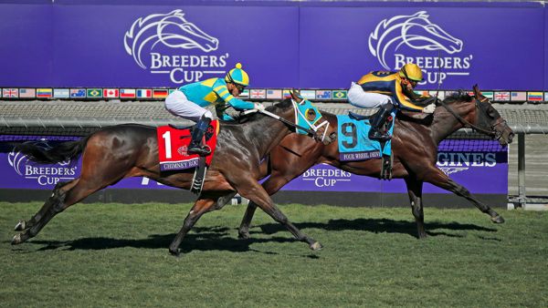Four Wheel Drive wins the Breeders' Cup Juvenile Turf Sprint