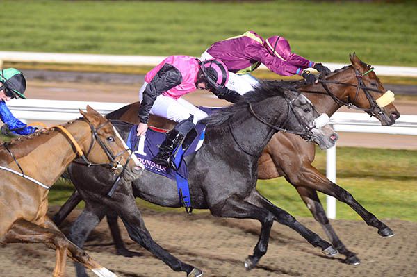 Sampers Seven (far side) with Big Gossey