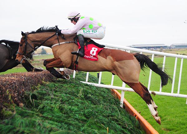 Faugheen made a successful chasing debut at Punchestown