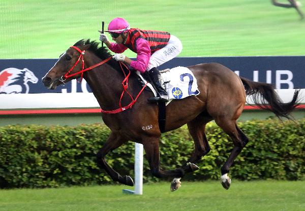 Waikuku bursts through to victory in the Jockey Club Mile.
