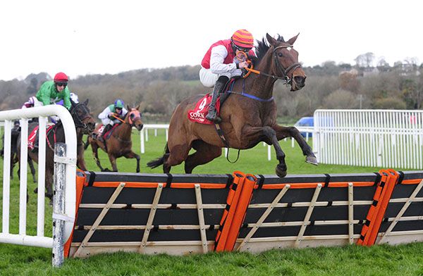 Lily Trotter flies the last for Breen Kane