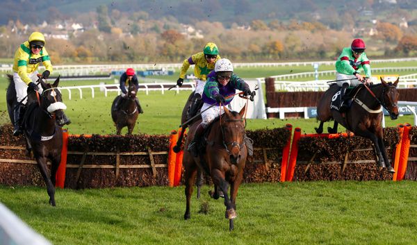 Thyme Hill (white cap)