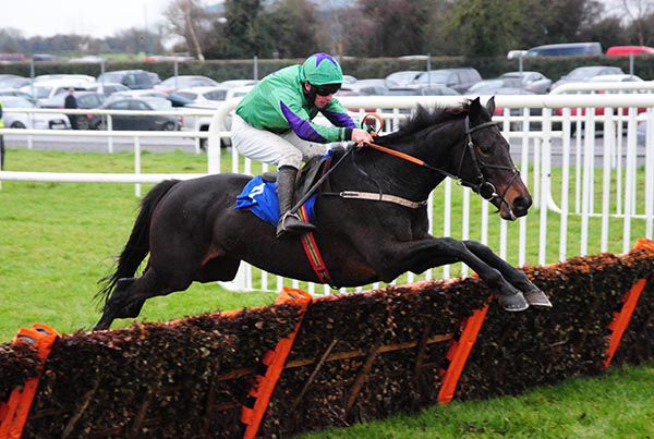 Kalli's Quest and Phillip Enright