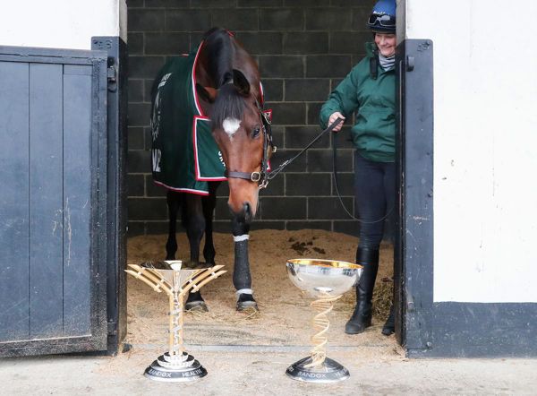 Tiger Roll admires his two Grand National trophies