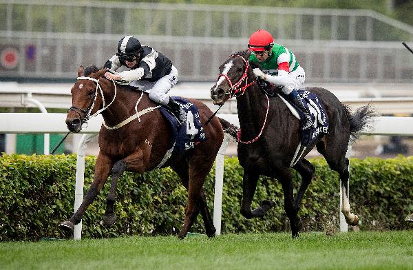 Tony Cruz has unwavering confidence in his star stayer. Photo 3