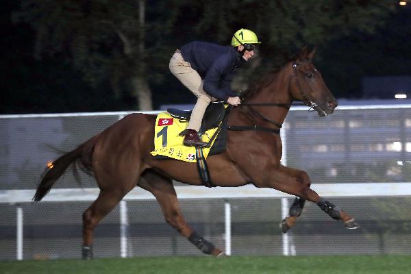 Aethero has his final fast work at Sha Tin.