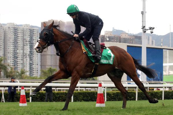 Anthony Van Dyck works at Sha Tin this week.
