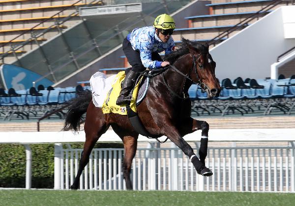 Danon Smash is out to emulate his sire Lord Kanaloa.