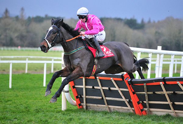 Scheu Time and Kevin Brouder jump the last 